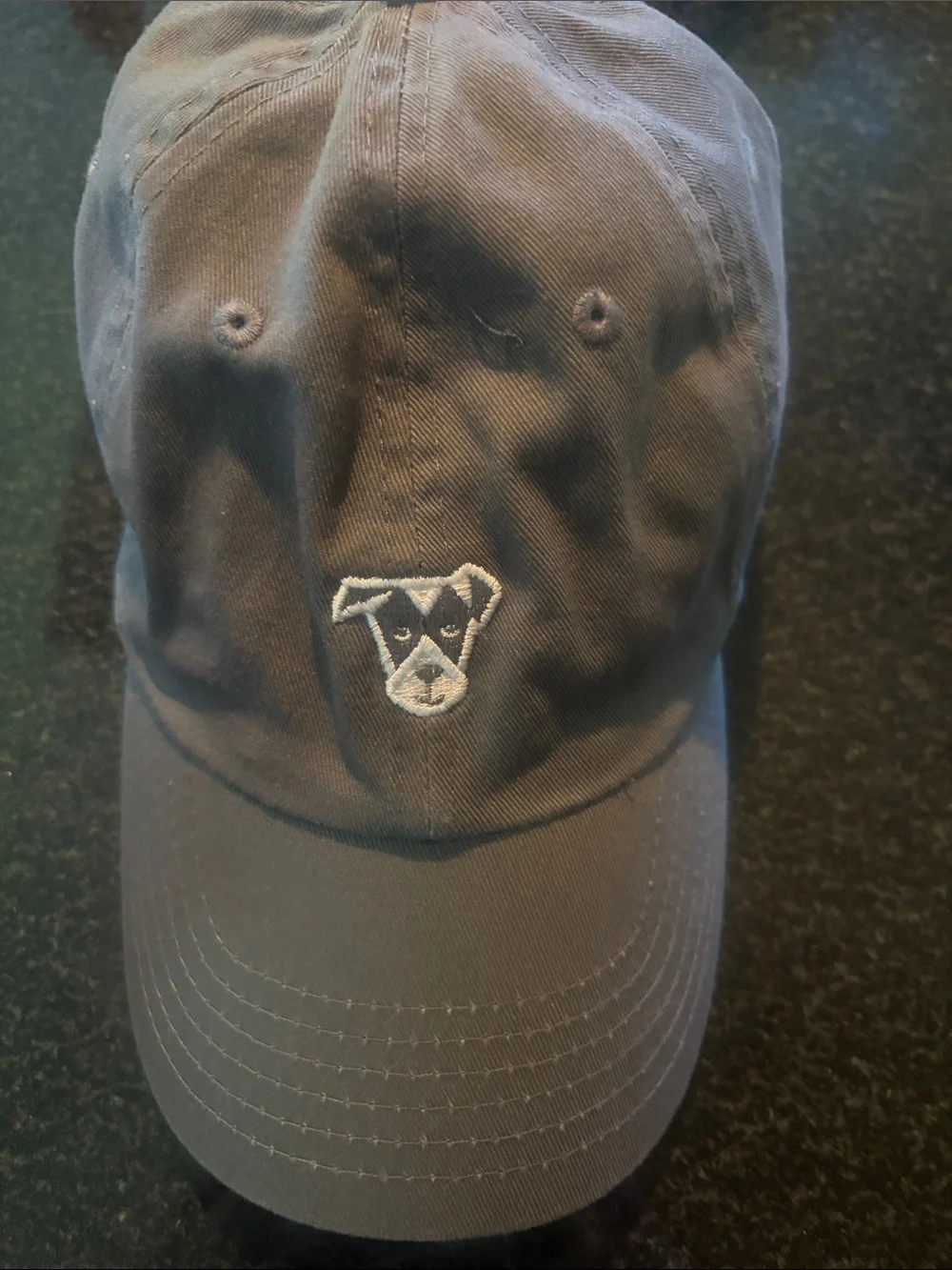 Dog Embroidered Baseball Cap - Gray - The Dogist